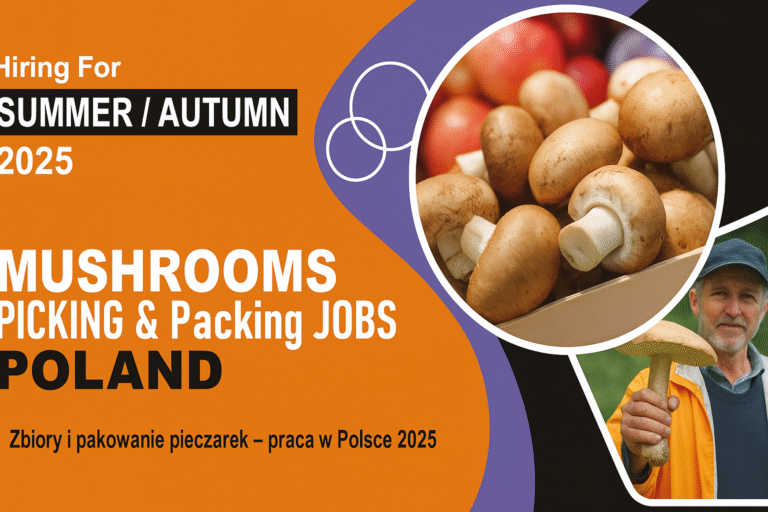 poland mushroom packing jobs 2025